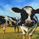 Well Done Cows