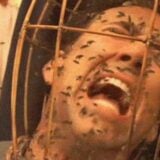 Bees