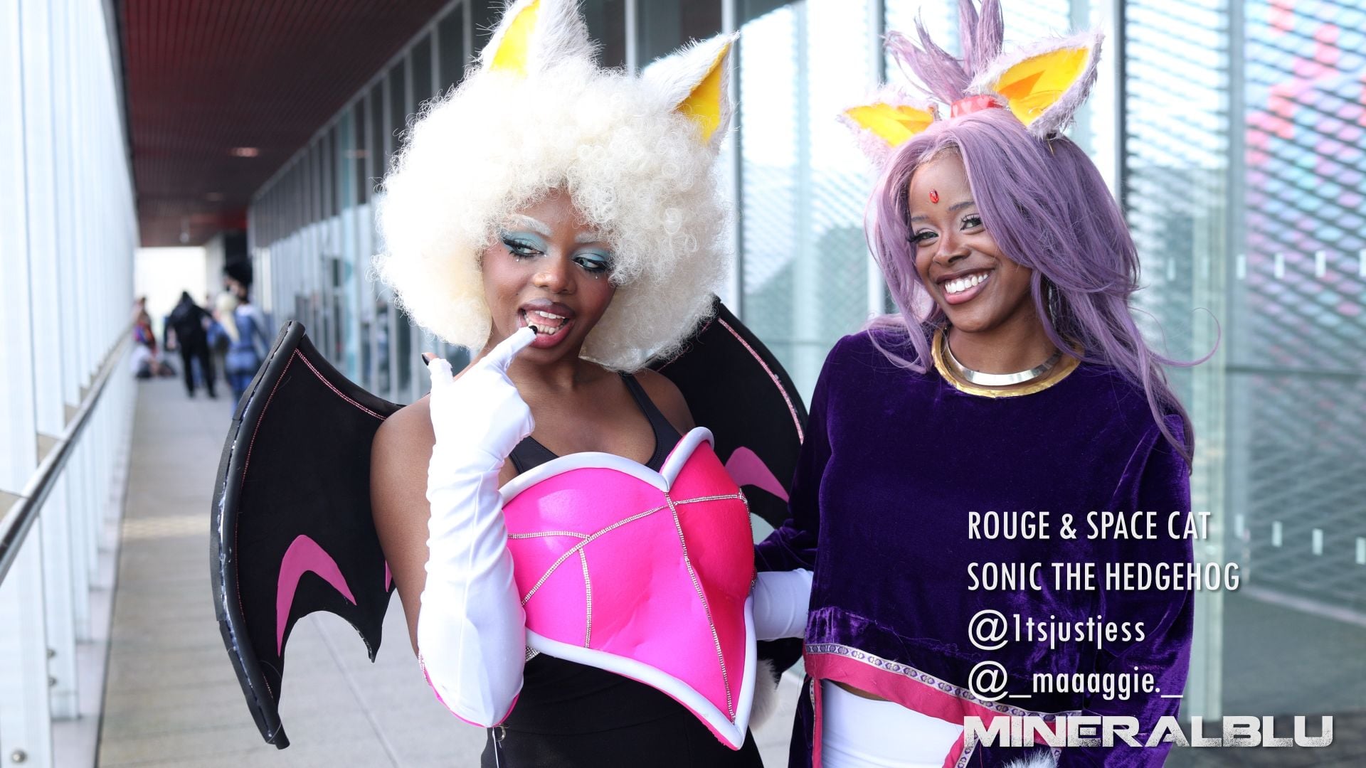 Rouge Spacecat Sonic