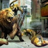 5929022 Tokyo Jungle Screenshot