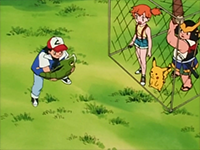 Metapod Evolution Anime