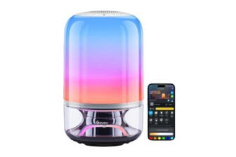 Govee Lamp