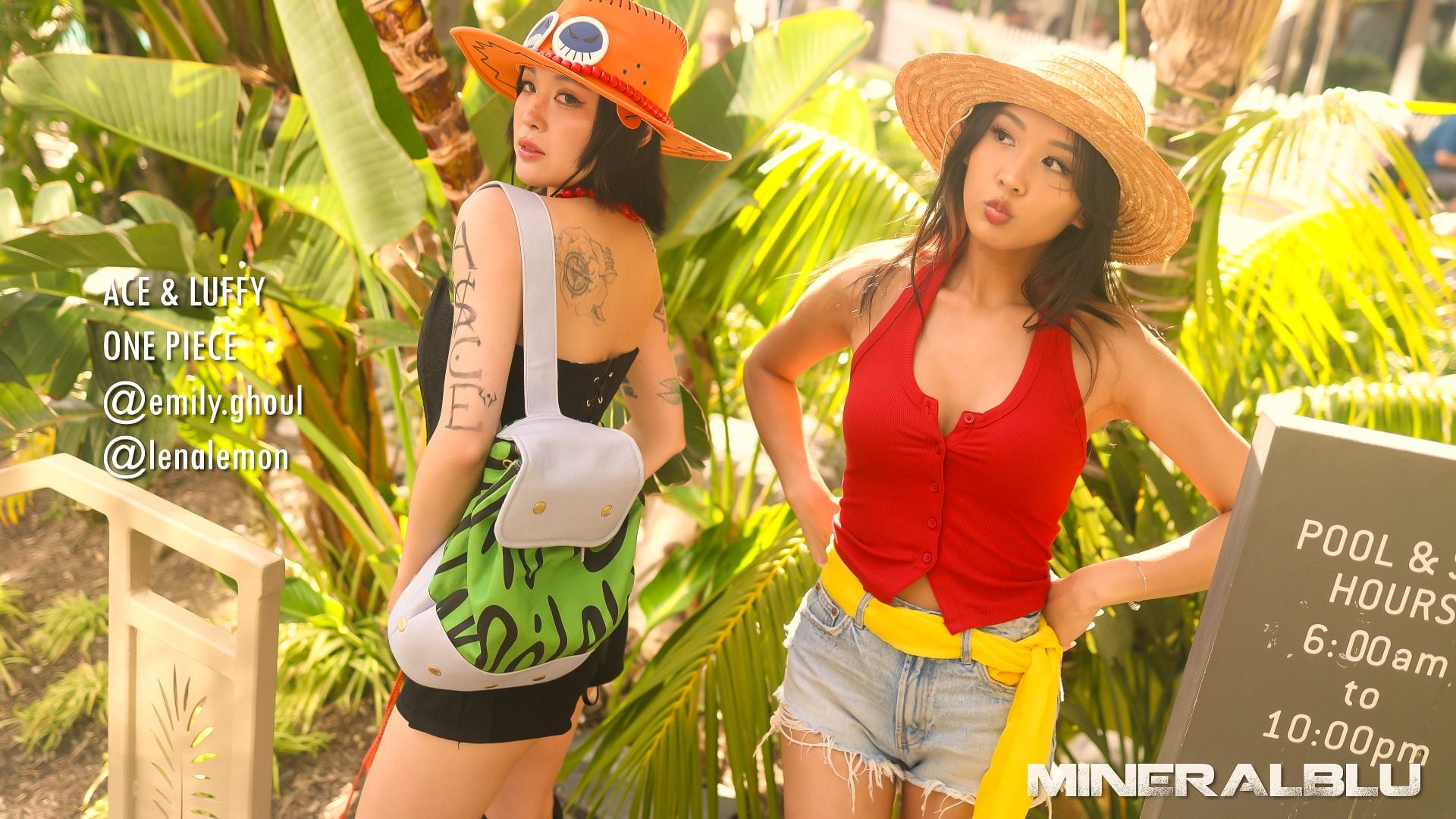 Ace & Luffy One Piece