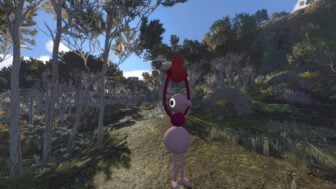 Big Walk 41