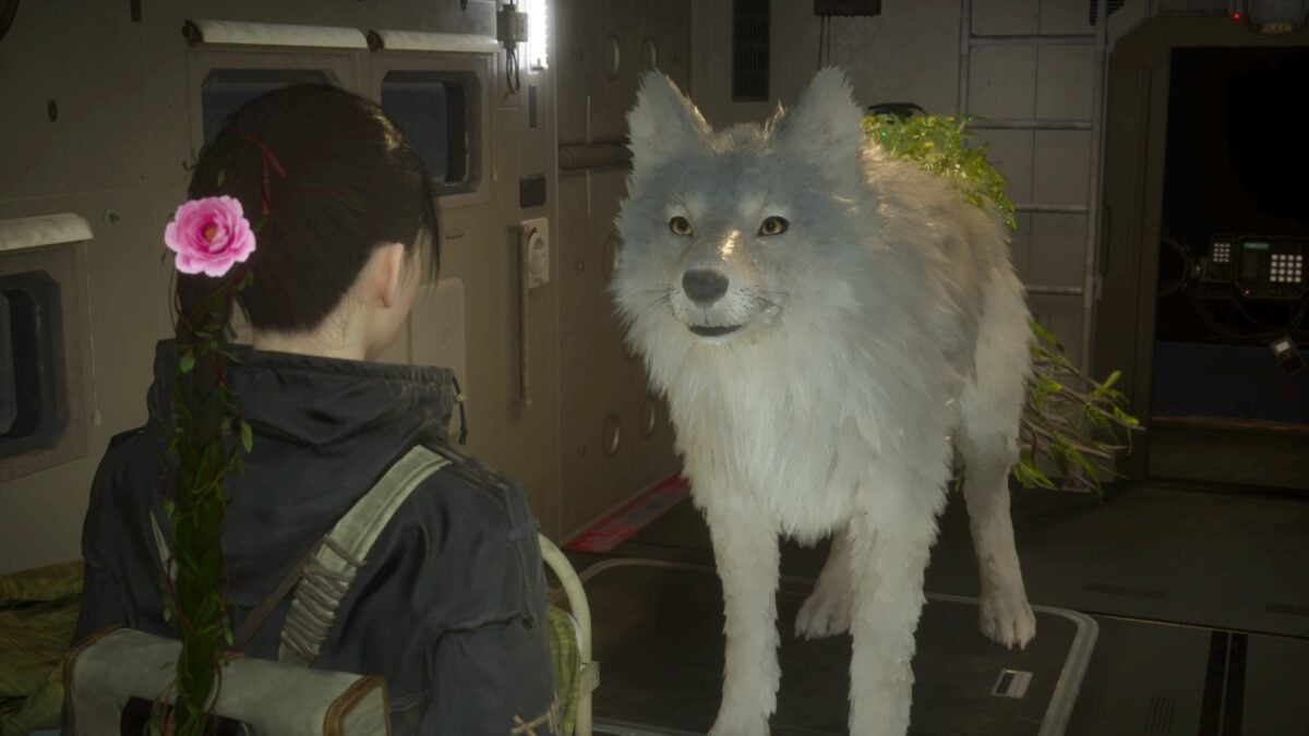 I (18F) Have A Giant Wolf (???M) Following Me Around And Scaring Me For Fun