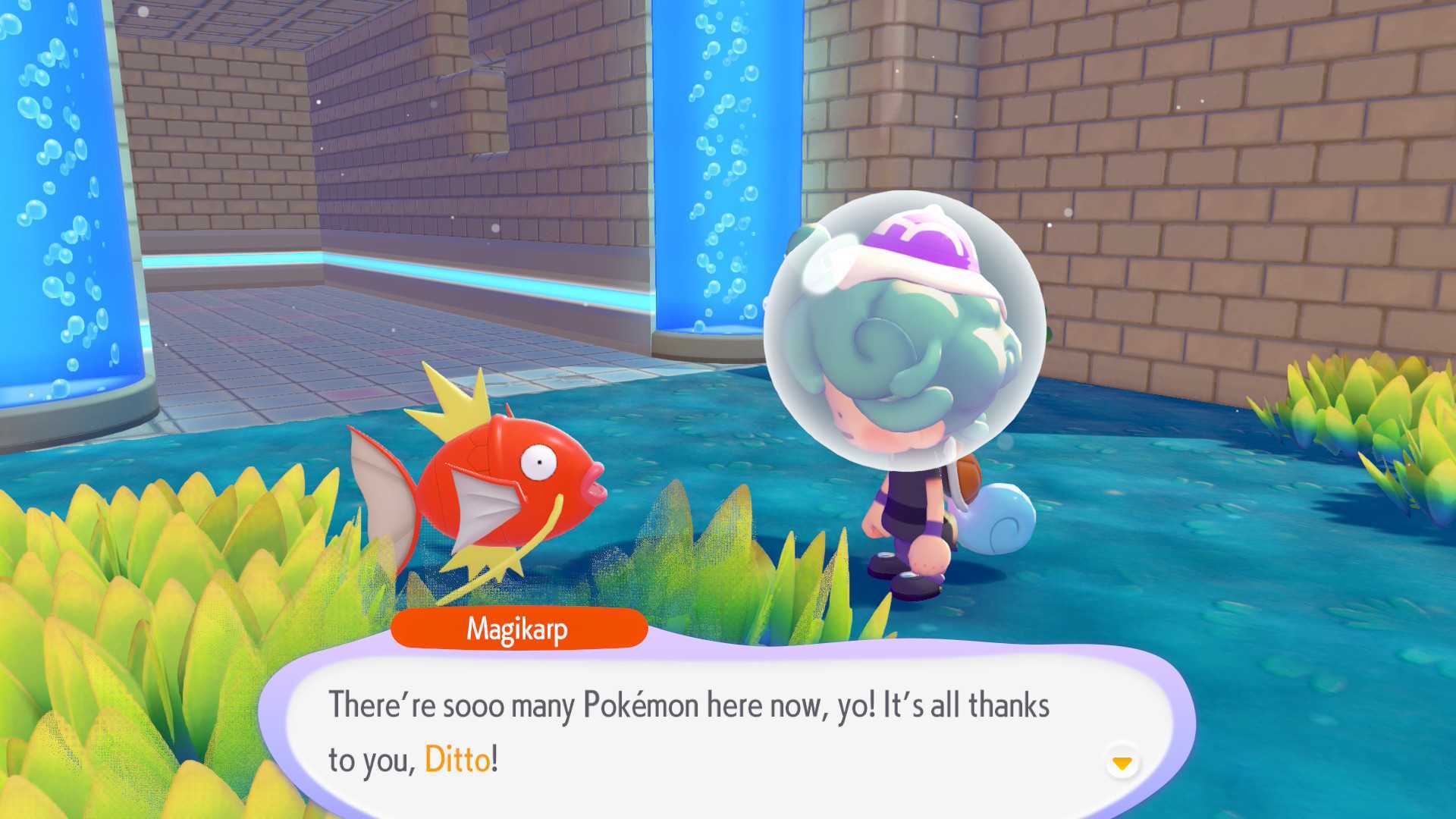 Magikarp