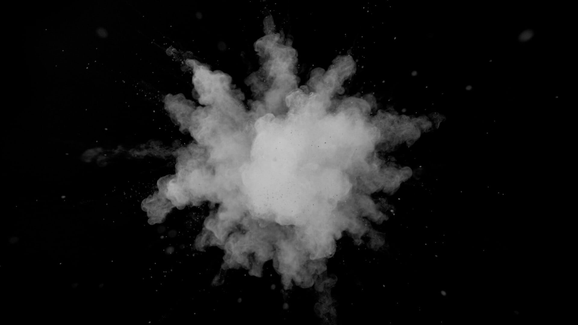 Project C Precognition