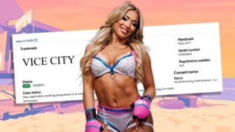 Vicecitygtawwe