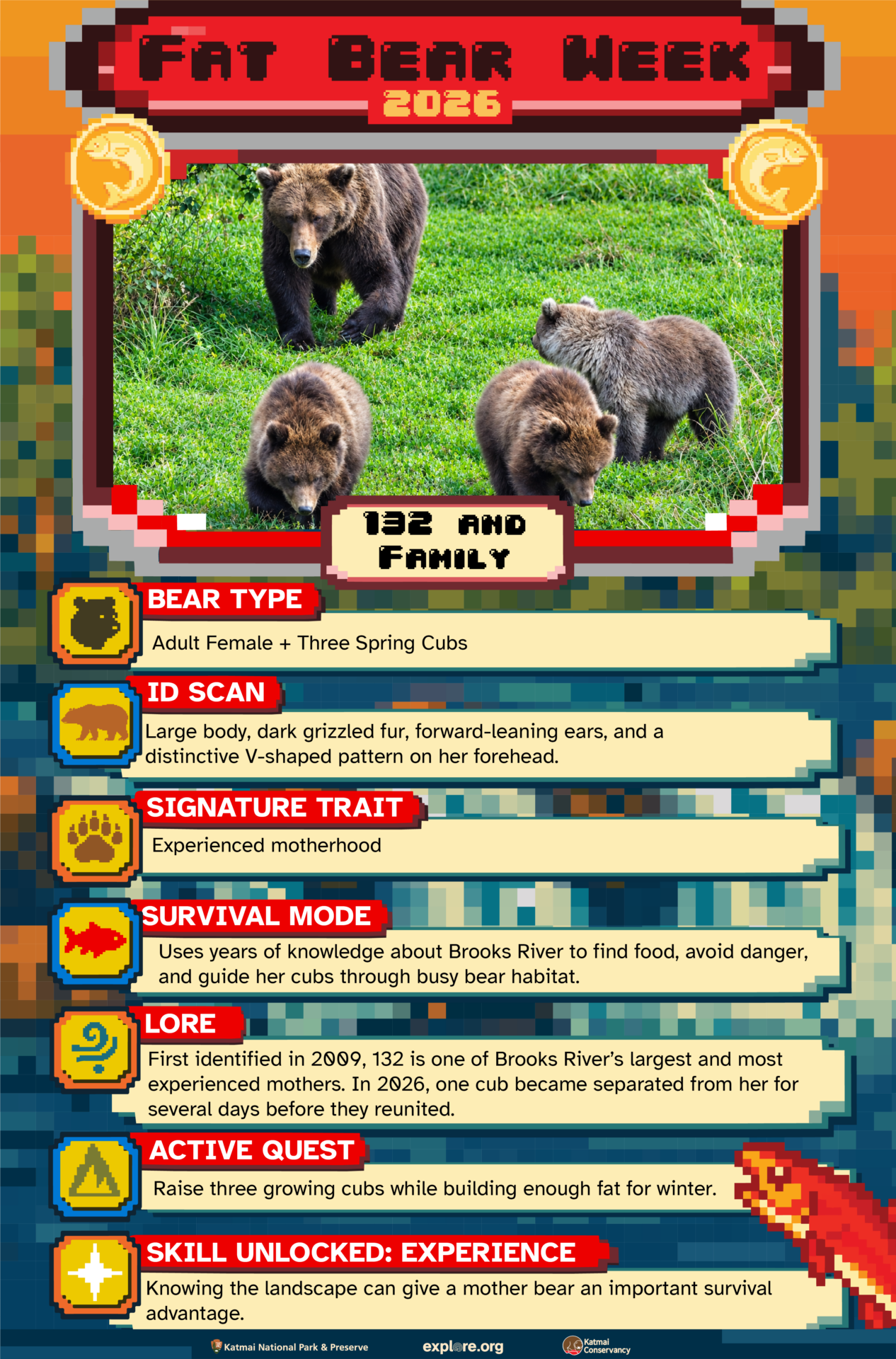 132 Family Fact Card Sara Wolman Explore