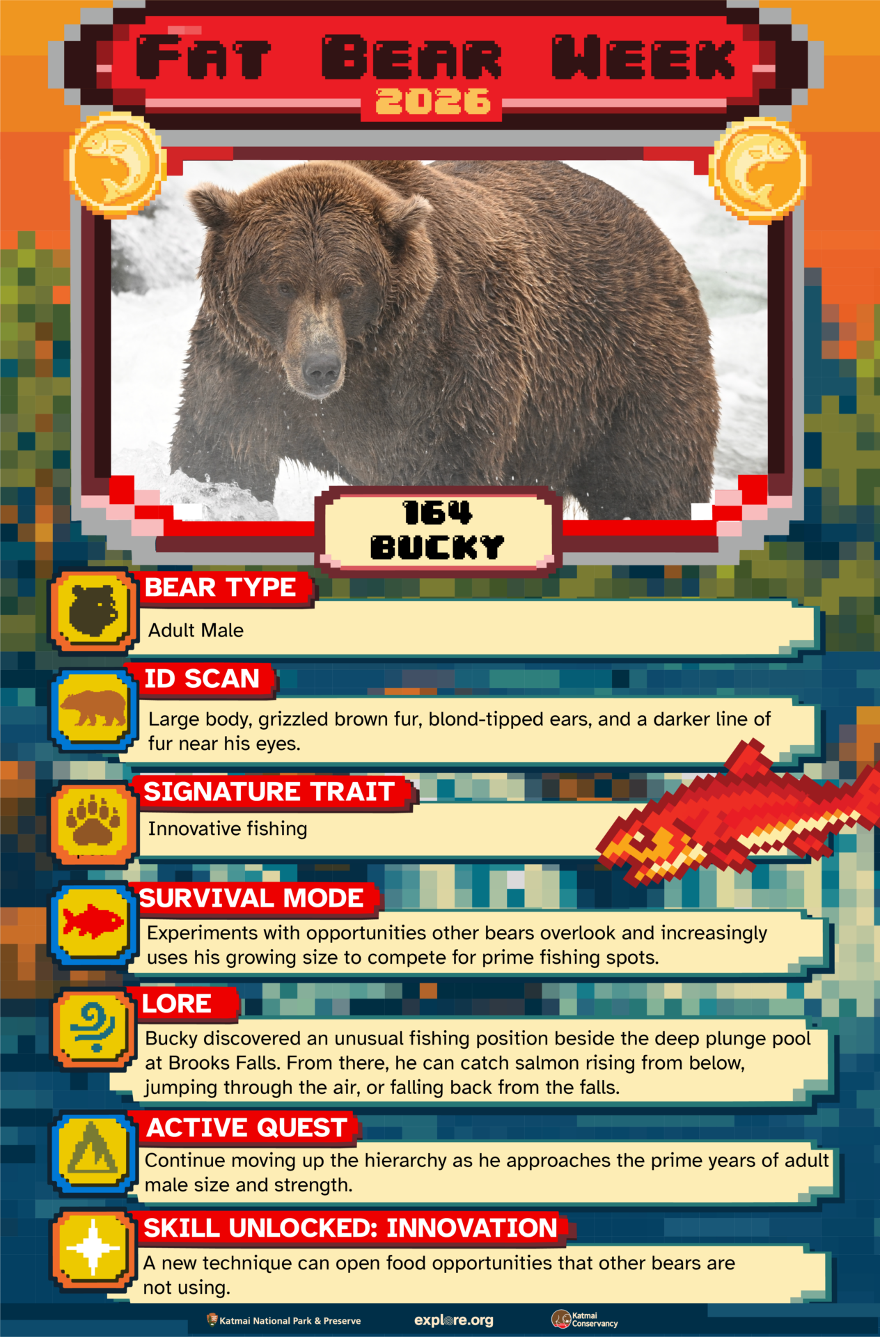 164 Bucky Fact Card Sara Wolman Explore