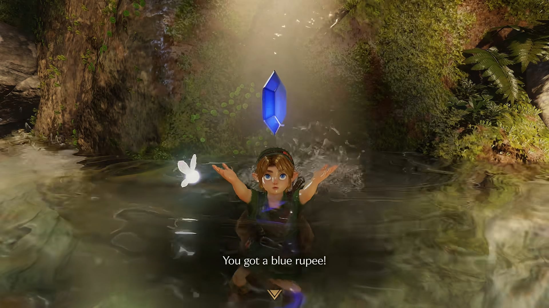 Link Swims
