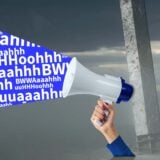 Control Board Voice