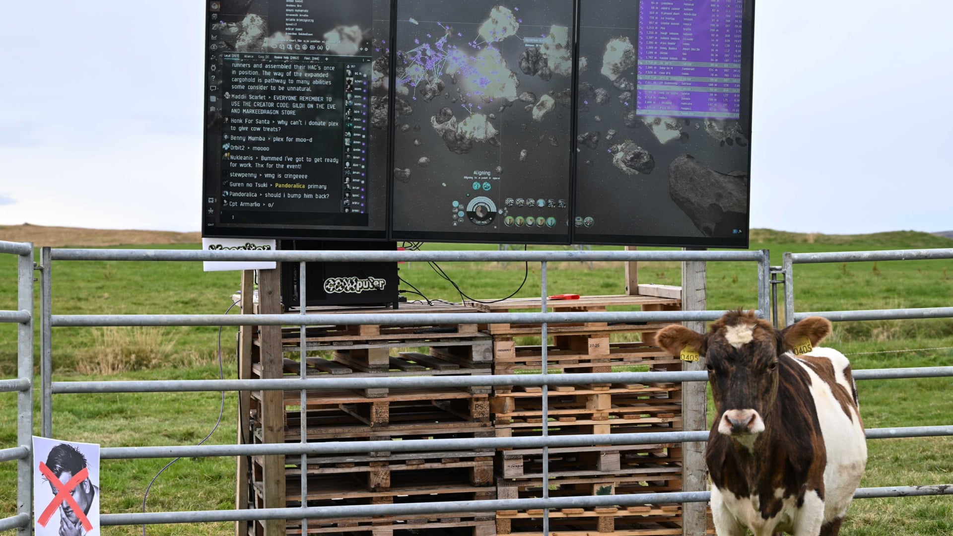 Cow