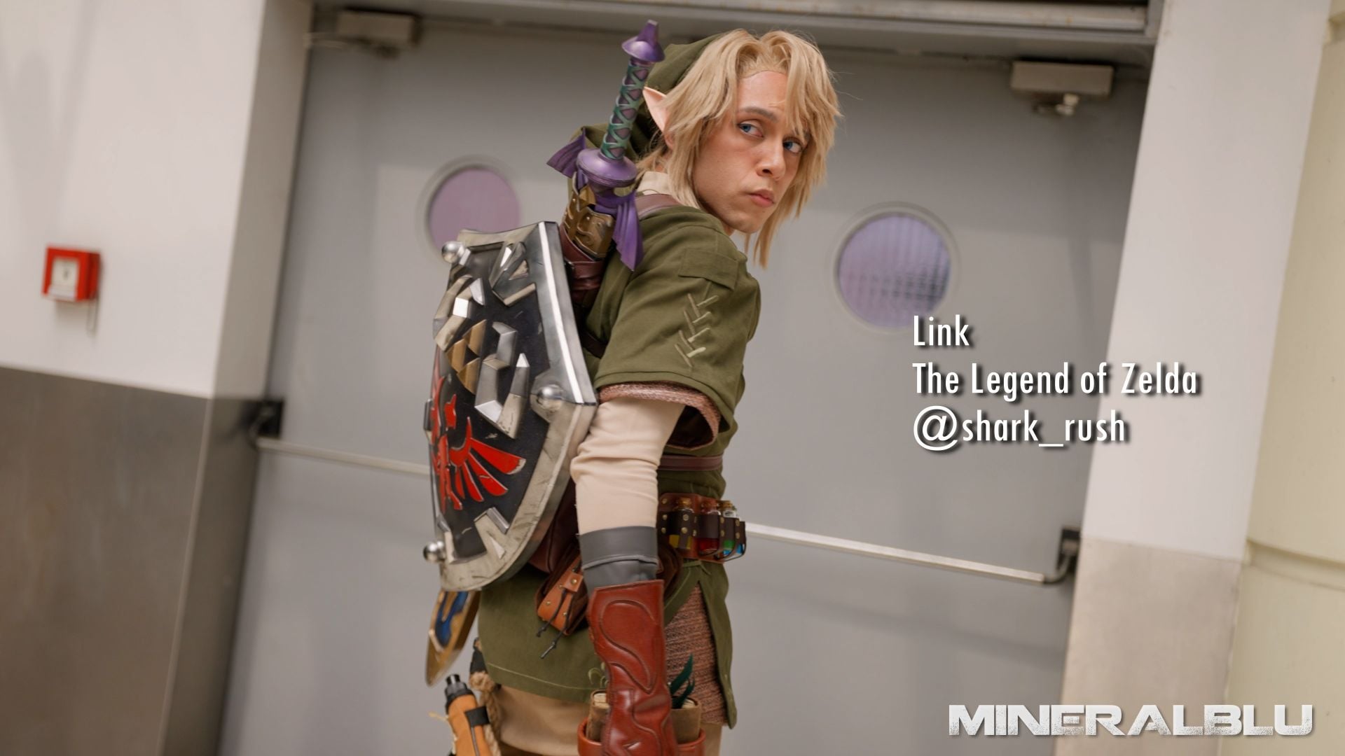 Link Zelda