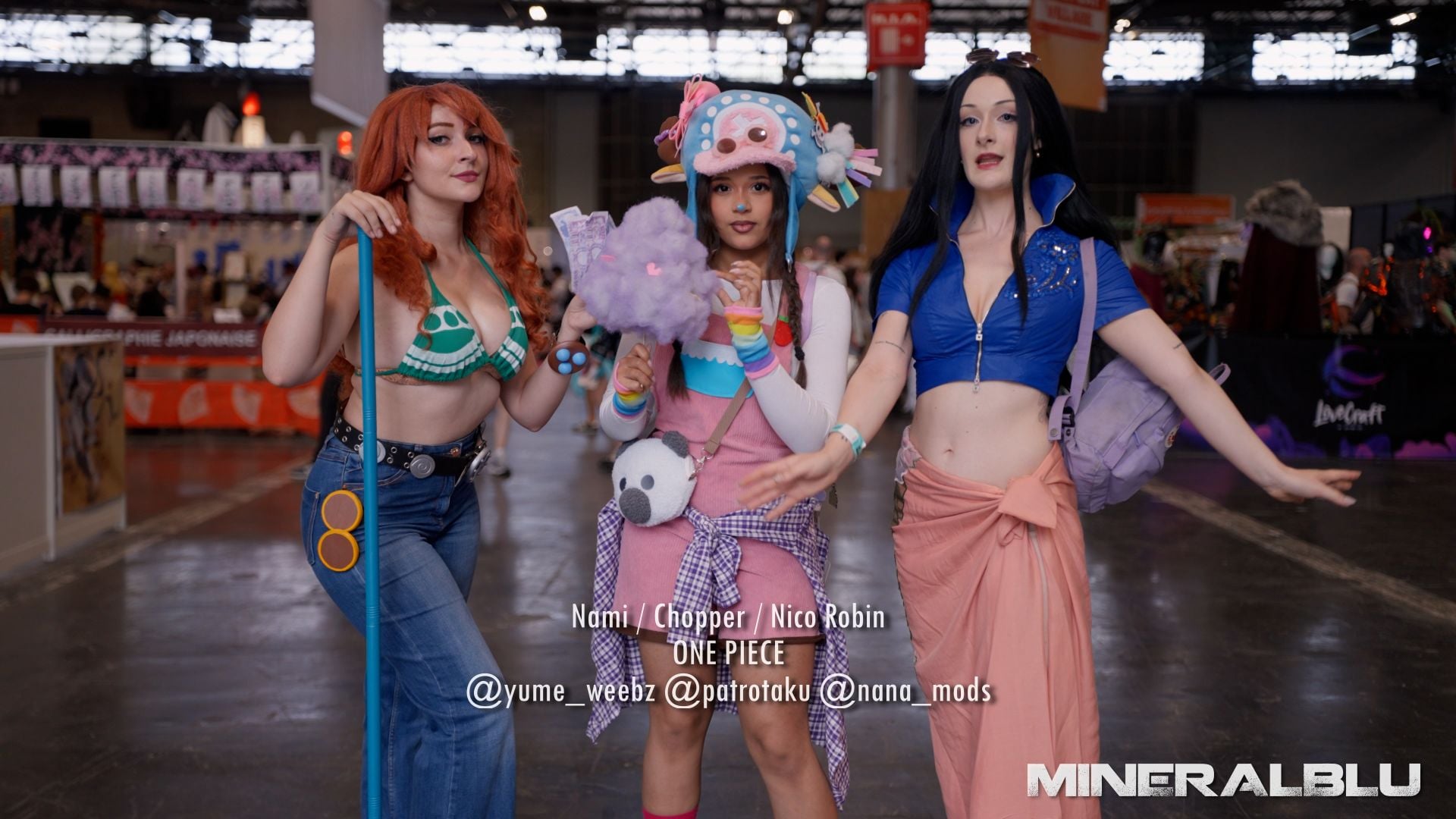 Nami Etc One Piece