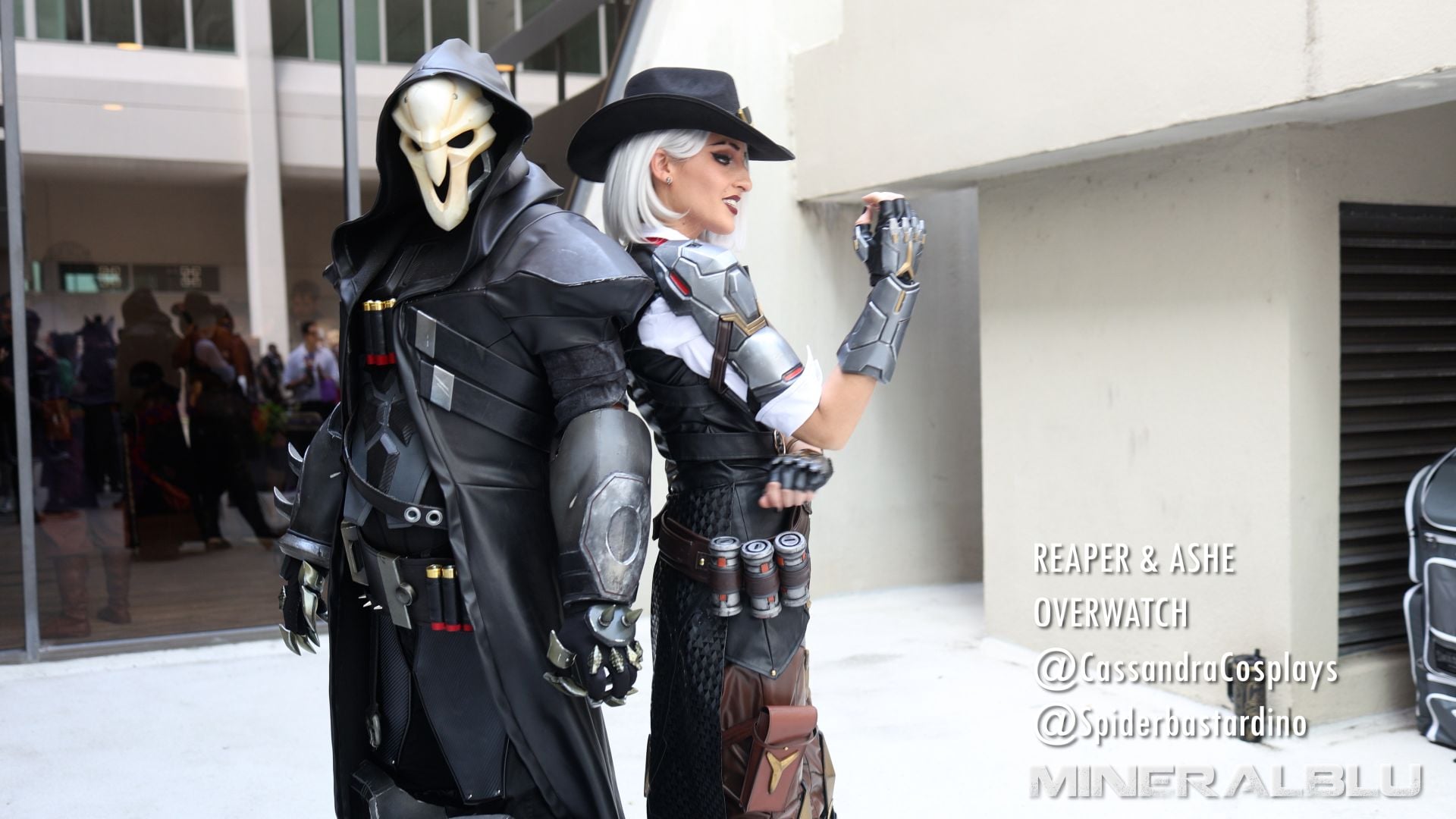 Reaper Ashe Overwatch