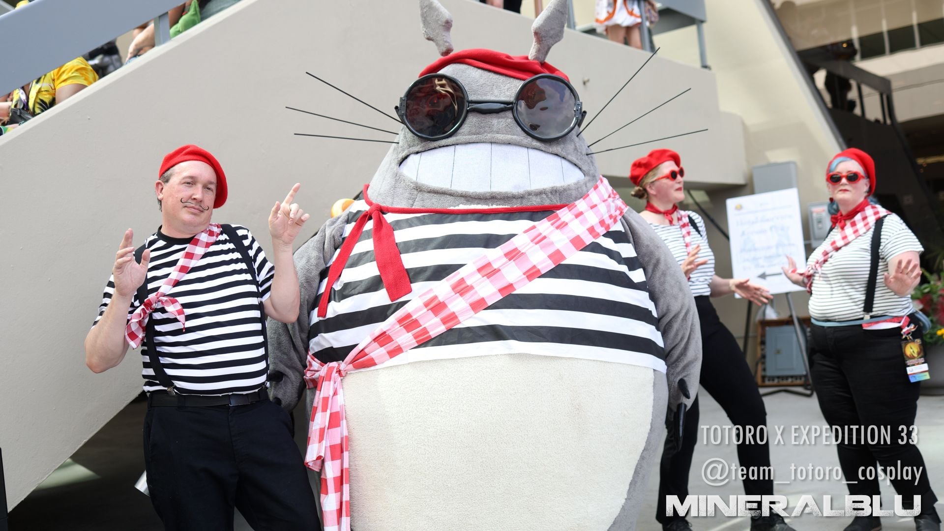 Totoro Exp 33
