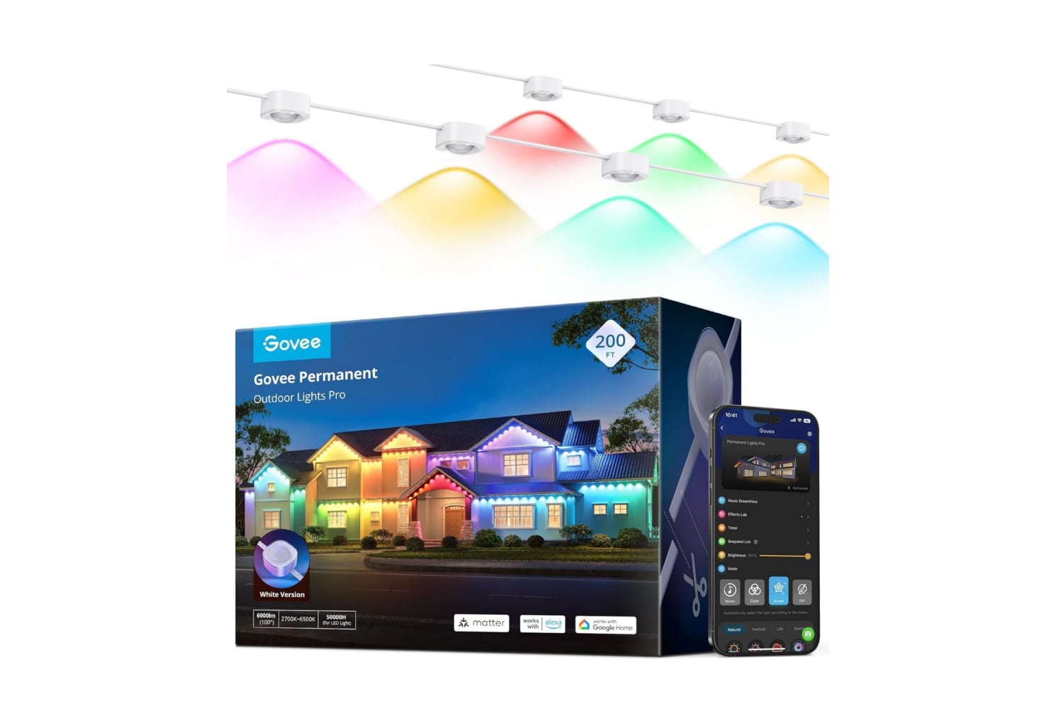 Govee Permanent Lights
