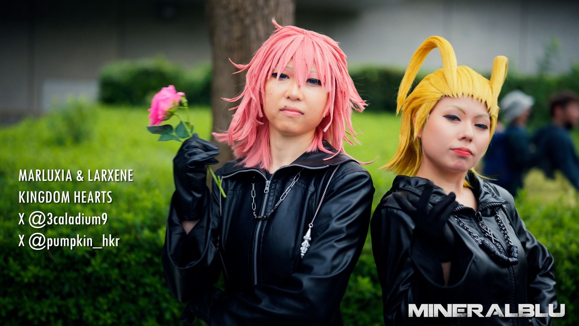 Marluxia Larxene Kingdom Hearts