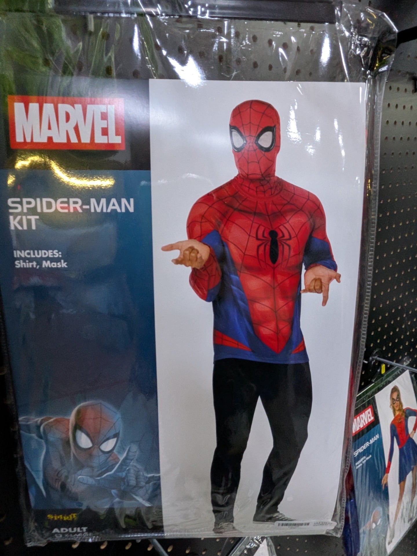 Spirit Lazy Spider Man