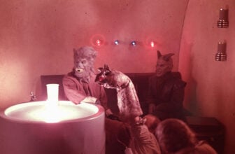 Tippettstarwarstrove