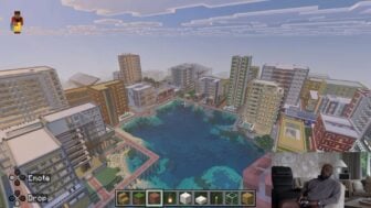 Tomlin Minecraft2
