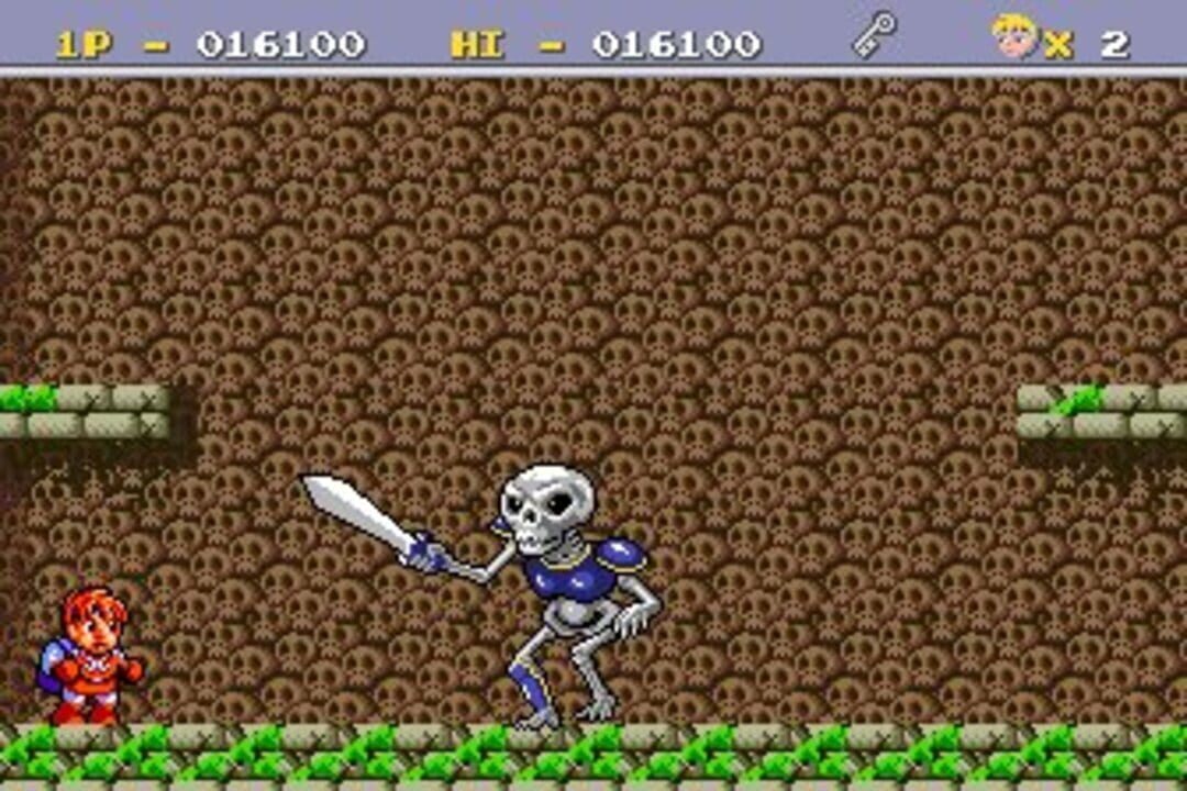 Legend of Hero Tonma