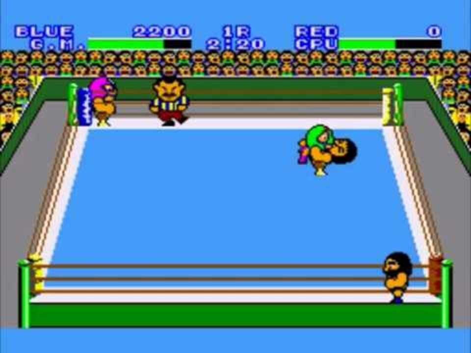 Pro Wrestling