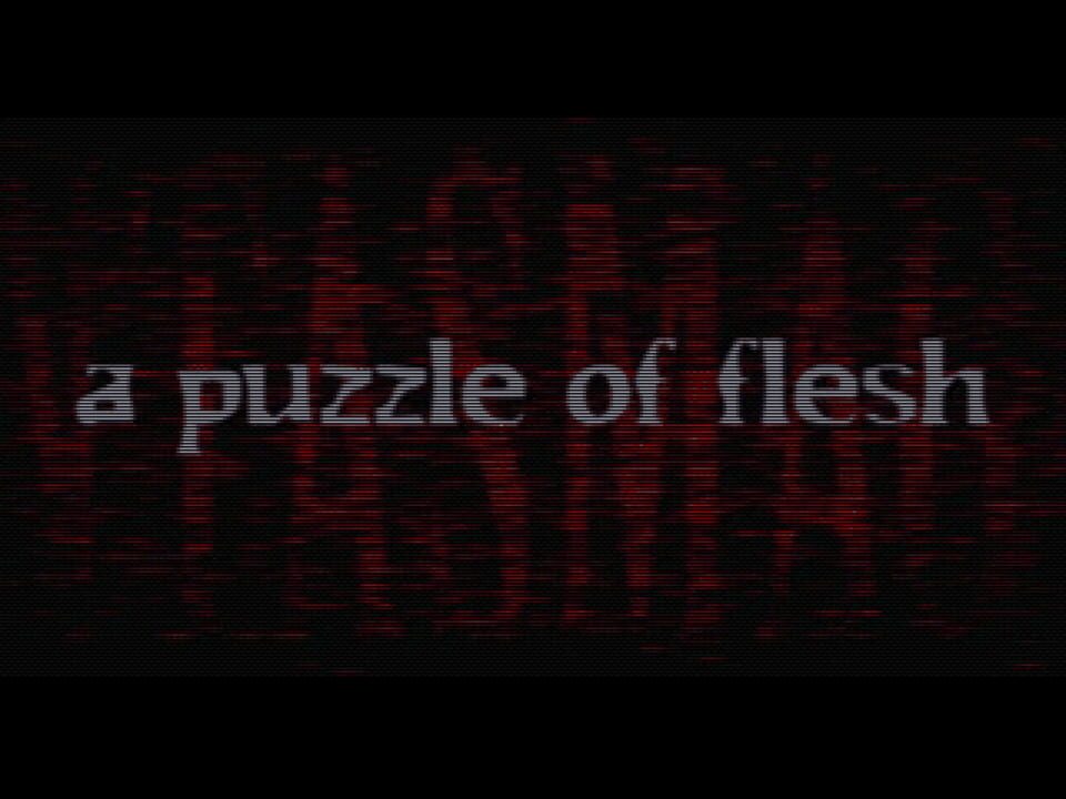 Phantasmagoria 2: A Puzzle of Flesh