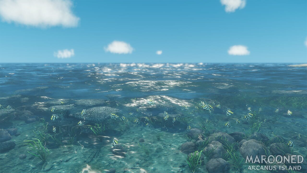 Marooned: Arcanus Island