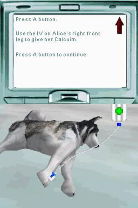 Pet Pals: New Leash on Life