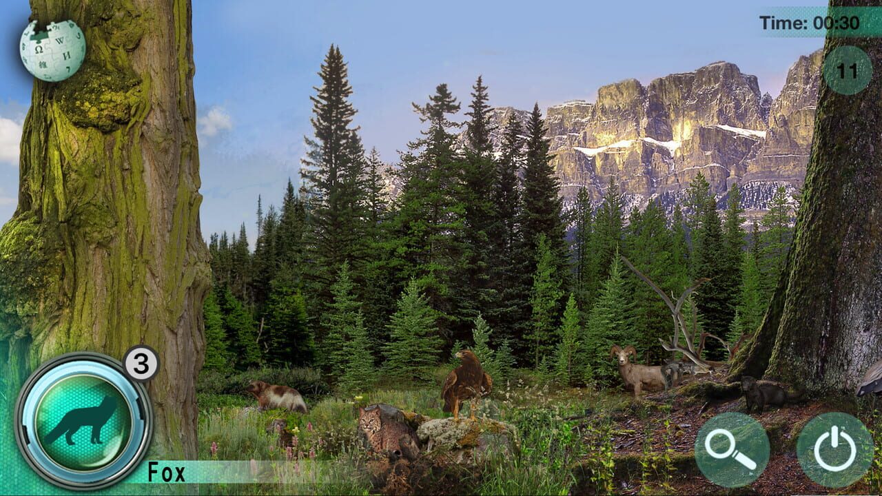 Hidden Animals: Photo Hunt