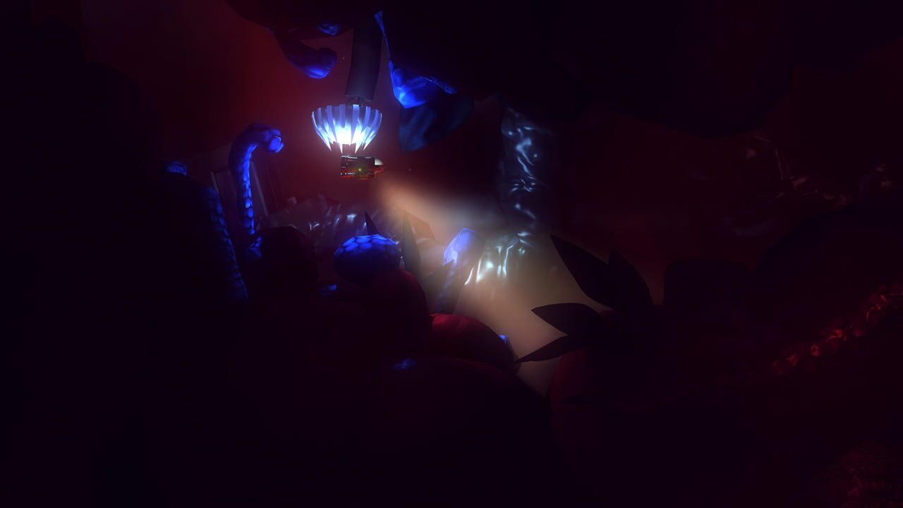 Affordable Space Adventures