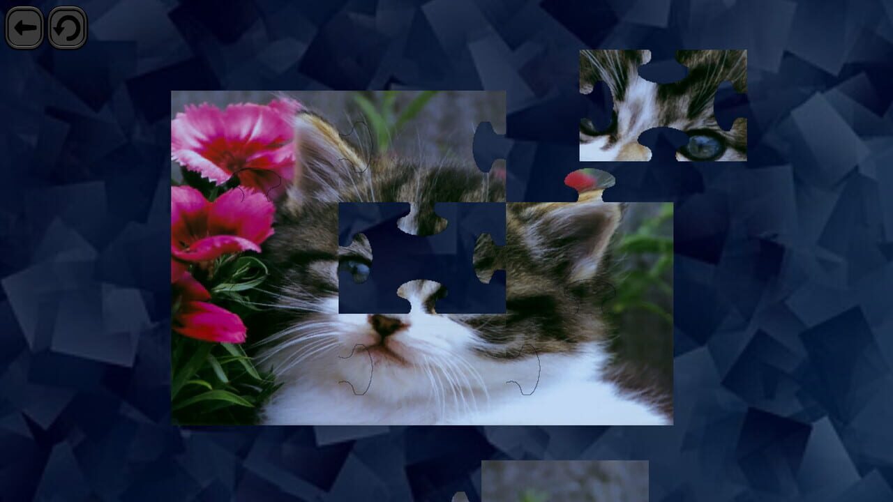 Puzzles for smart: Cats