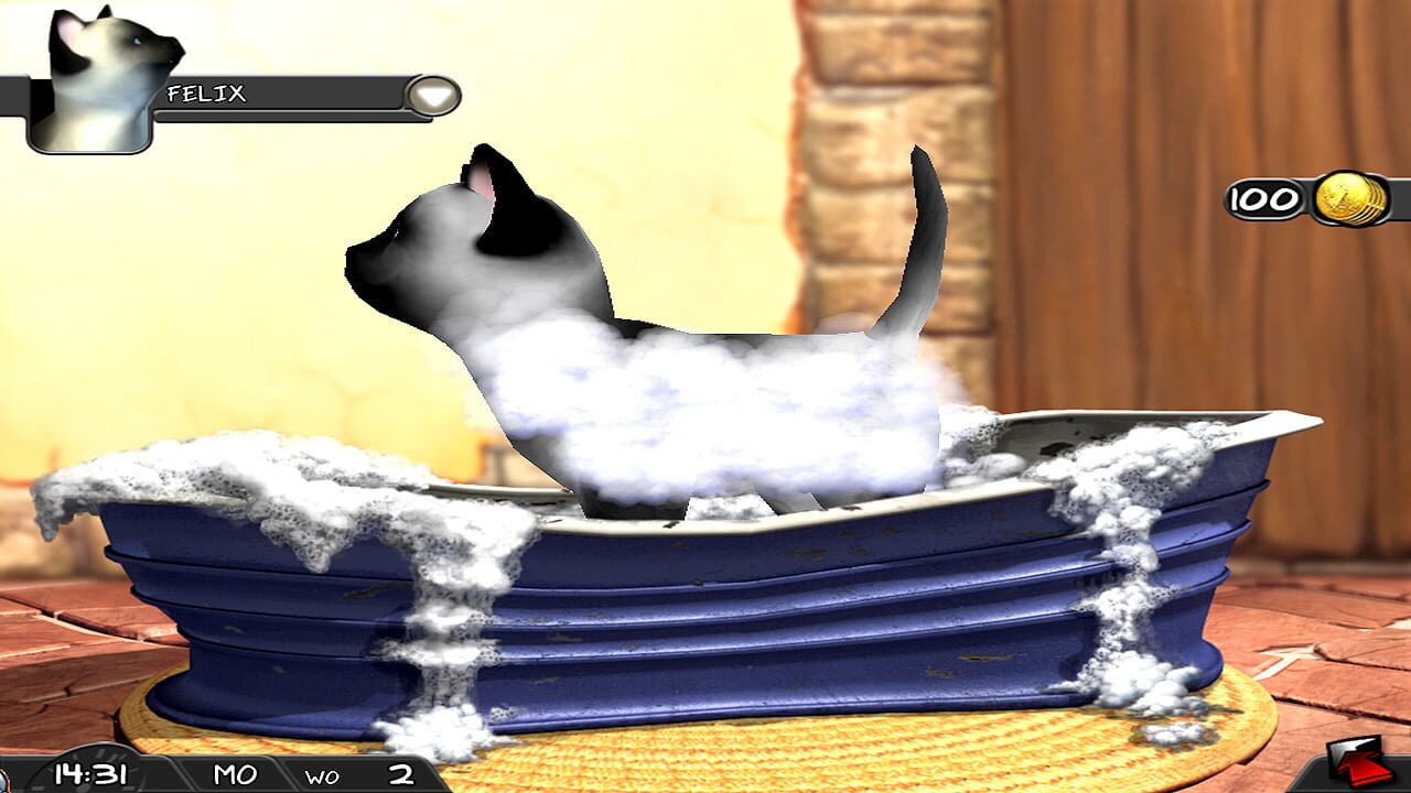 My Best Friends: Cats & Dogs