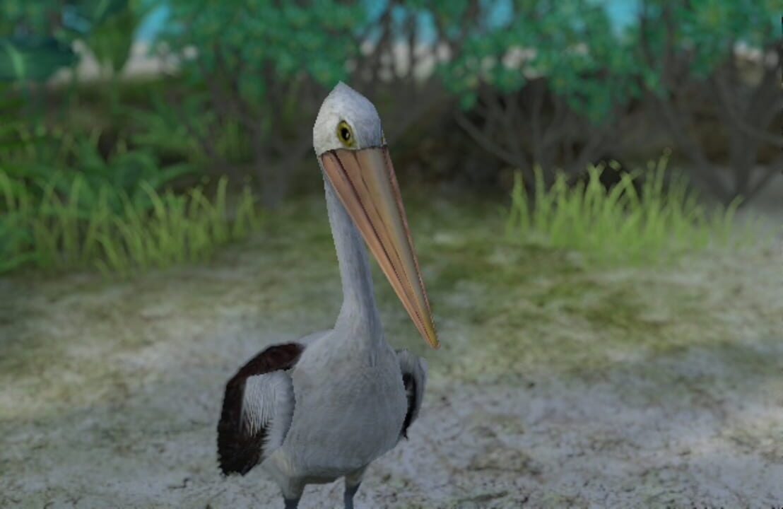 Endless Ocean: Blue World