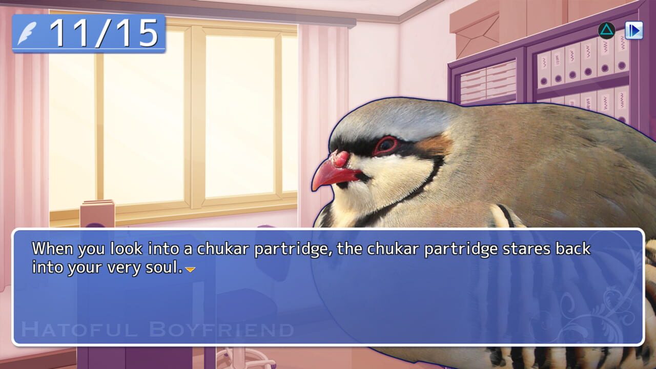 Hatoful Boyfriend