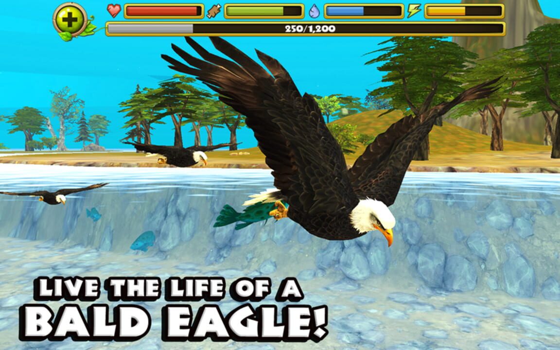 Eagle Simulator