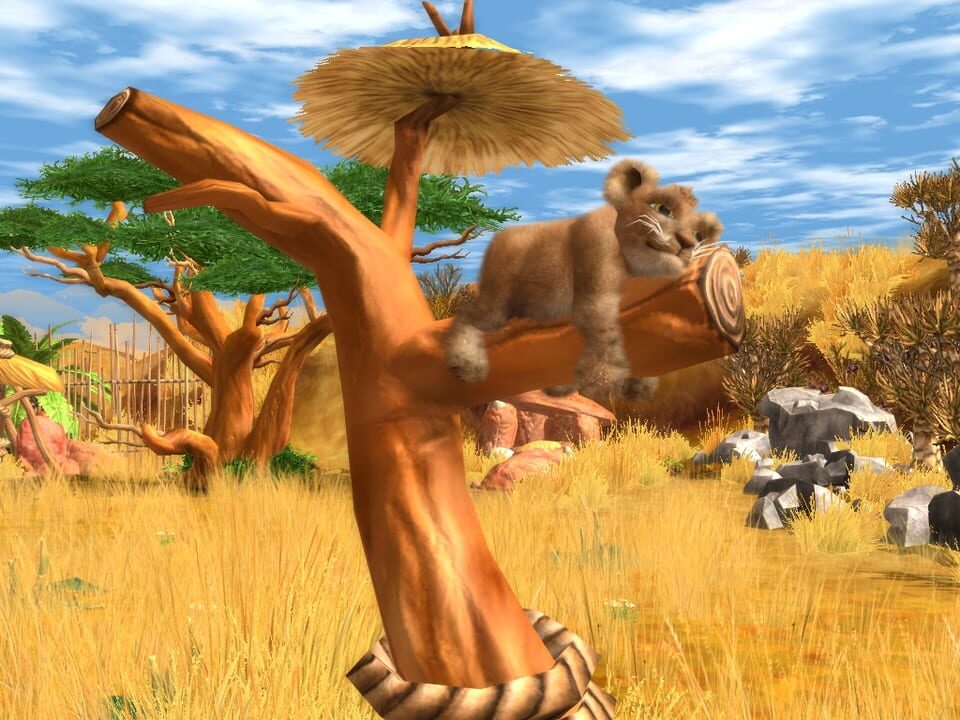 Wildlife Camp