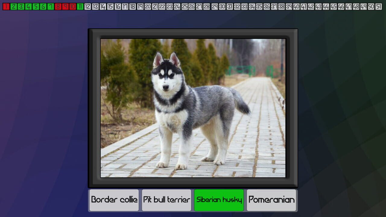 Test your knowledge: Dogs