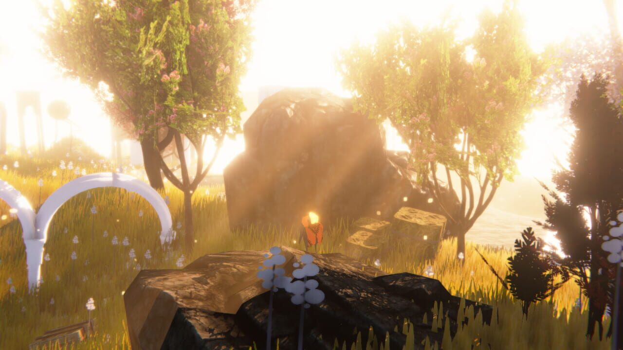 Widower’s Sky