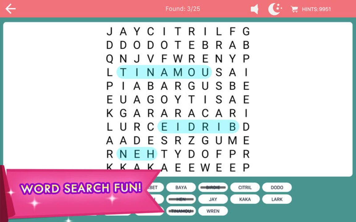 Word Search Fun