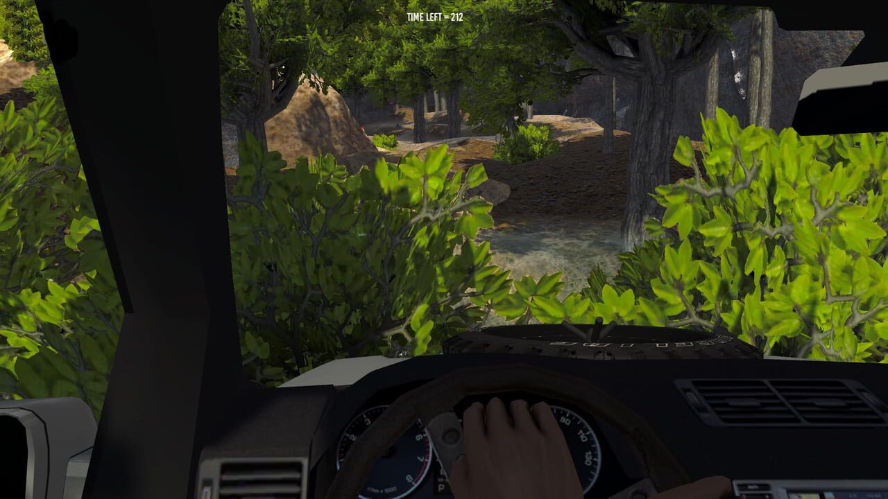 Need for Spirit: Drink & Drive Simulator
