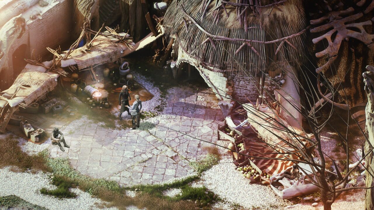 Beautiful Desolation