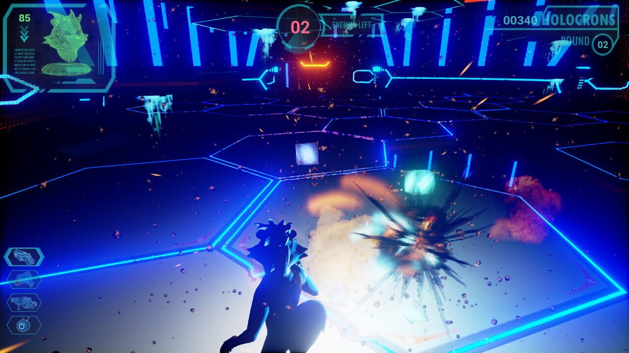 Conran: The Dinky Raccoon