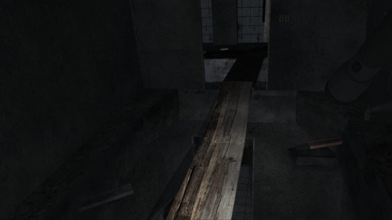 The Hospital: Allison’s Diary