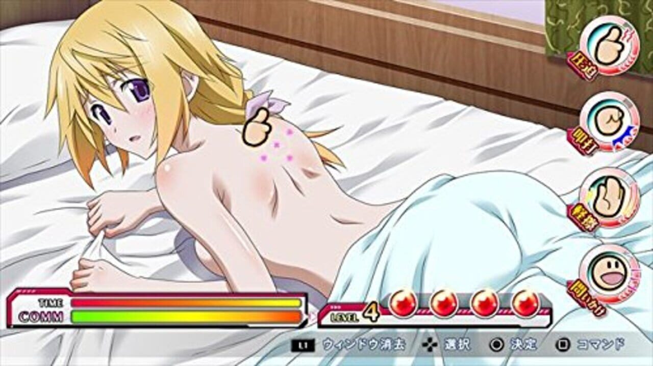 Infinite Stratos 2: Love and Purge