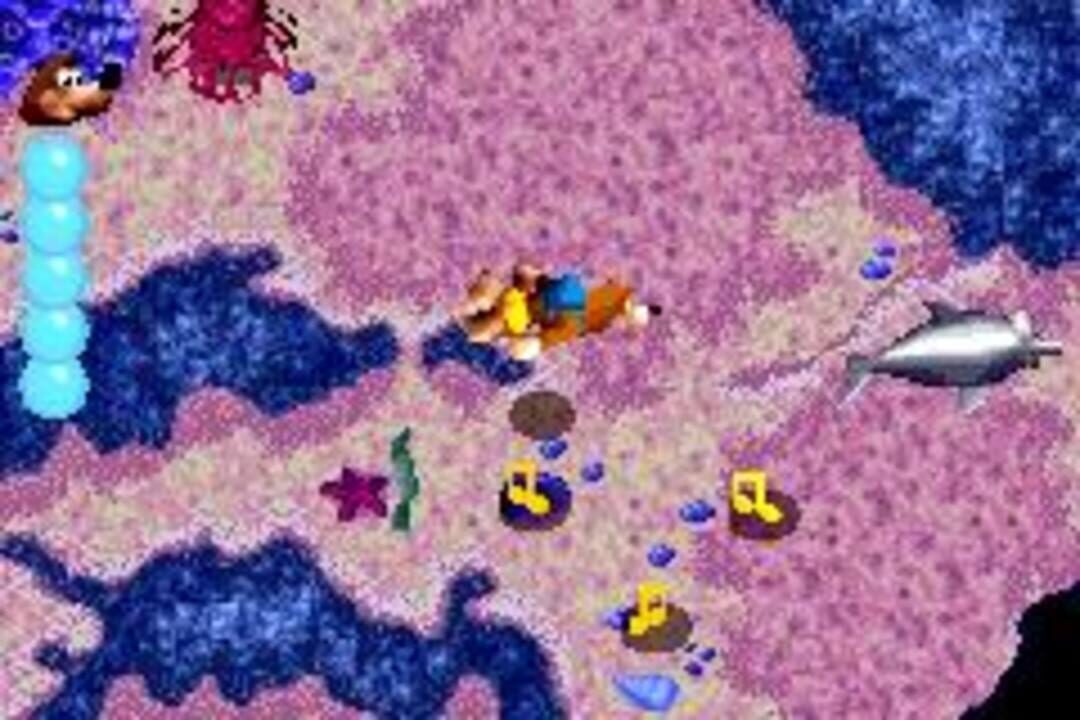 Banjo-Kazooie: Grunty’s Revenge