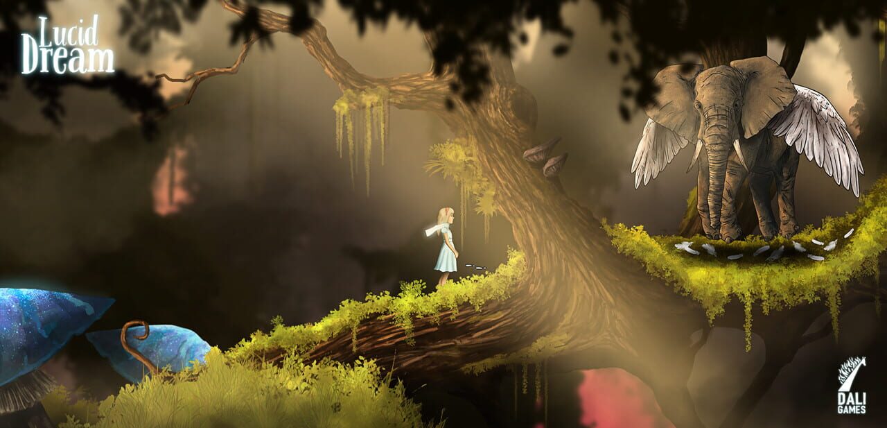 Lucid Dream Adventure