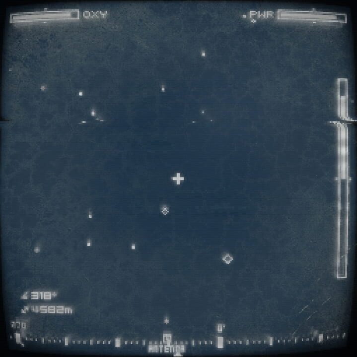 Capsule